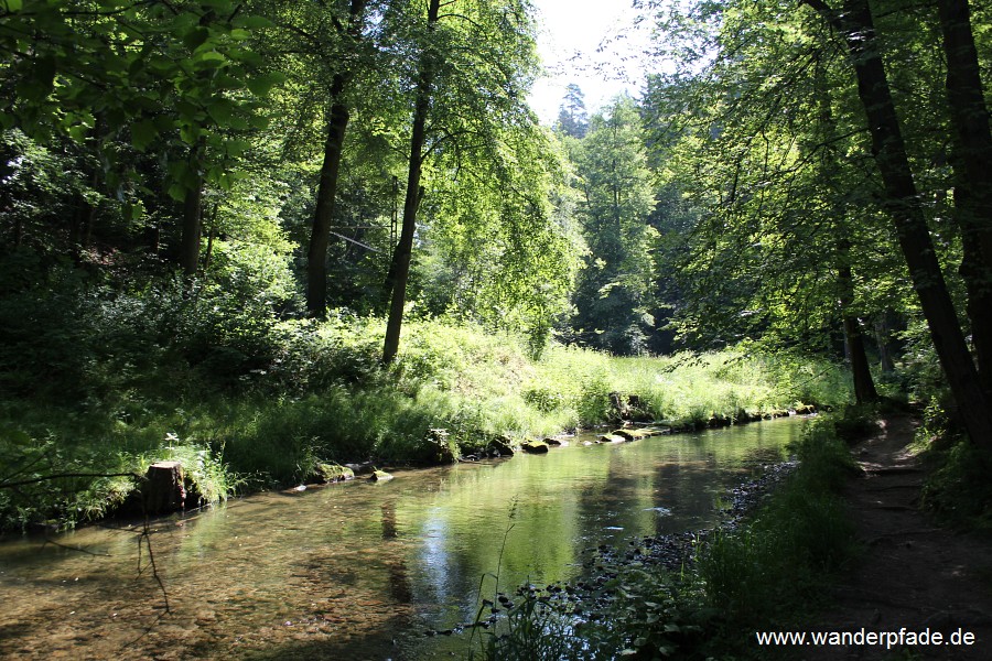 Flersteig, Kirnitzsch