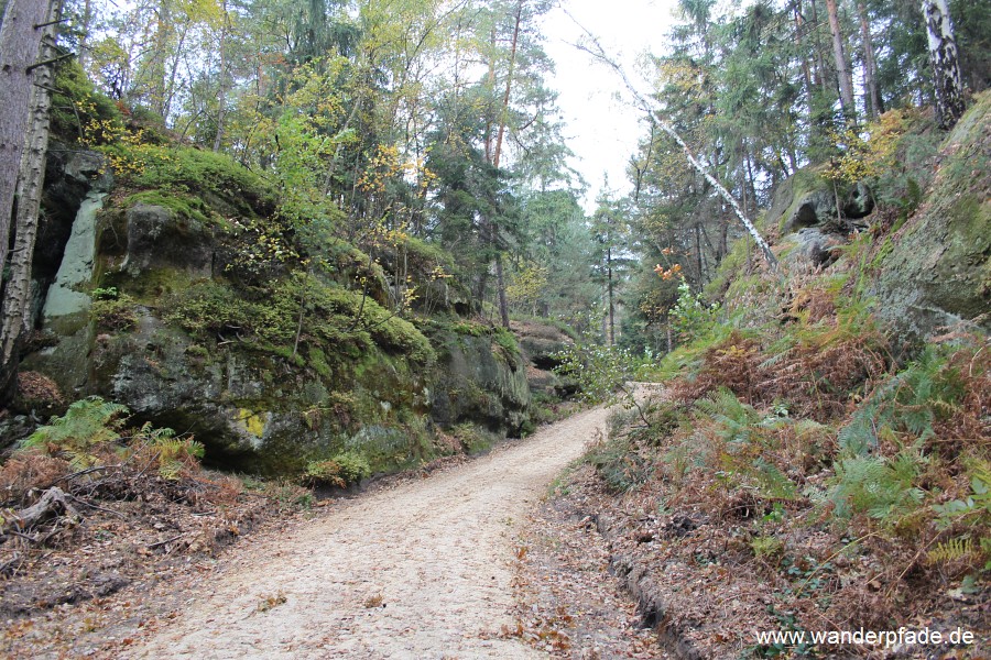 Mhlweg (von Waitzdorf)