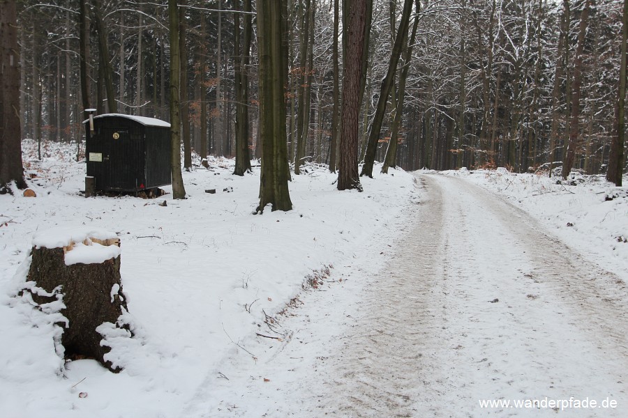 Fremdenweg im Wildensteiner Wald