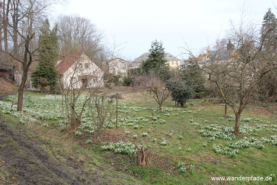 Mrzenbecher in Polenz