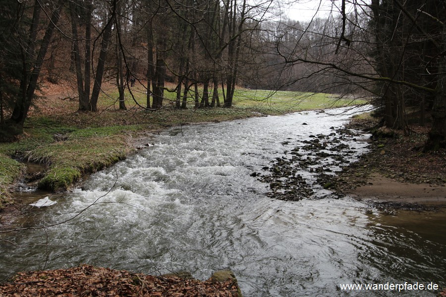 Mrzenbecherwiesen im Polenztal