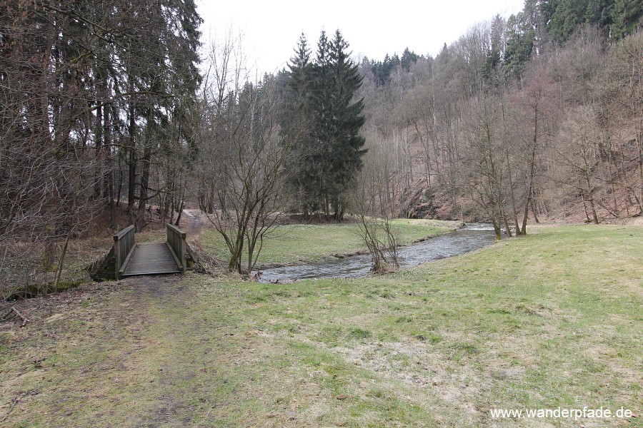 Mrzenbecherwiesen im Polenztal