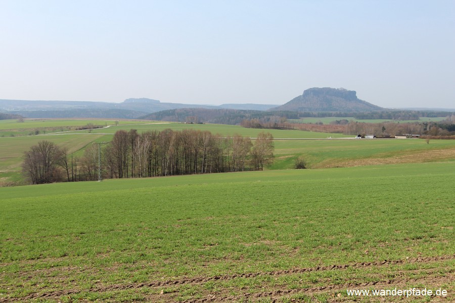 Pfaffenstein, Lilienstein