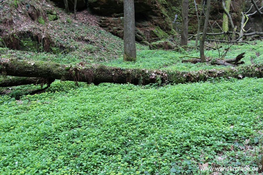 Teufelsschlchte/ Teufelsgrund/ Teufelskammer