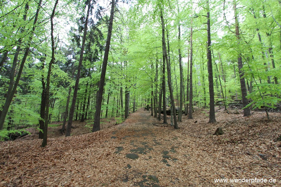 Steinrckenweg