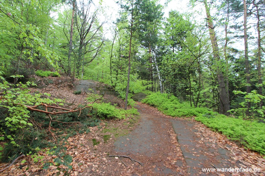 Steinrckenweg