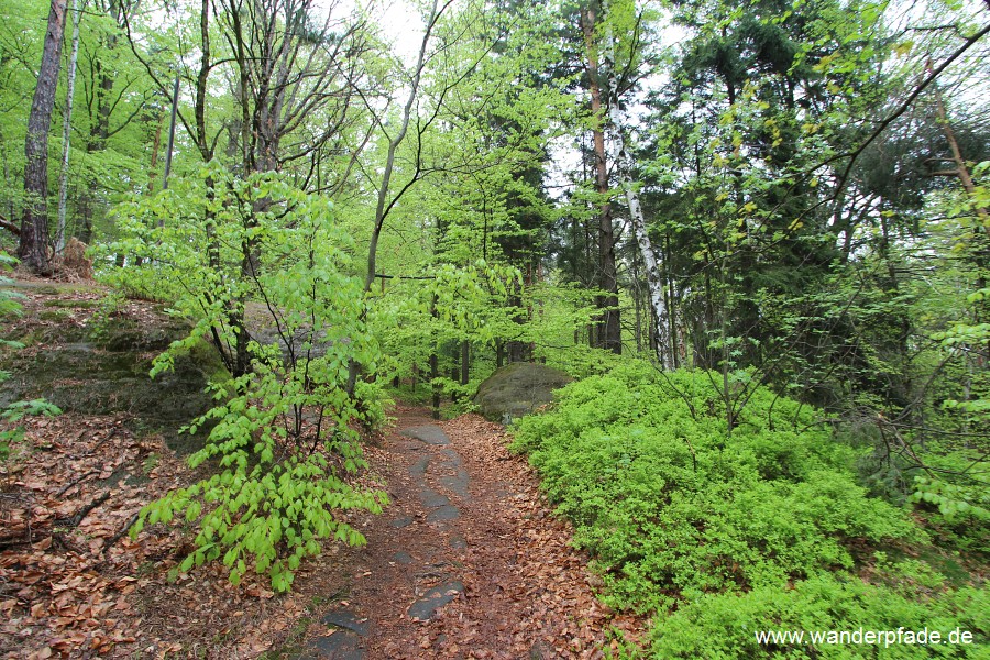 Steinrckenweg