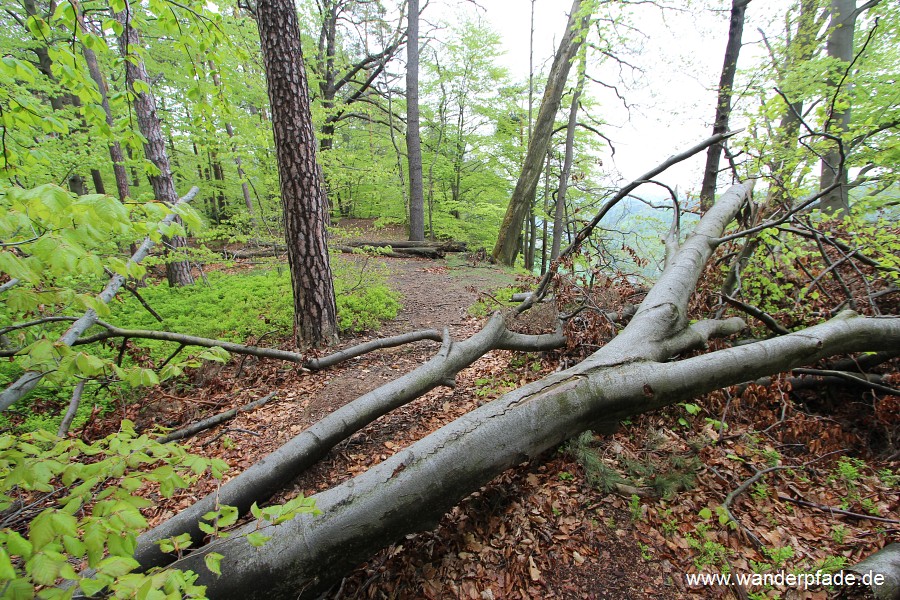 Bergpfad Schwarzbergrund-Griesgrund (Stille Grnde)