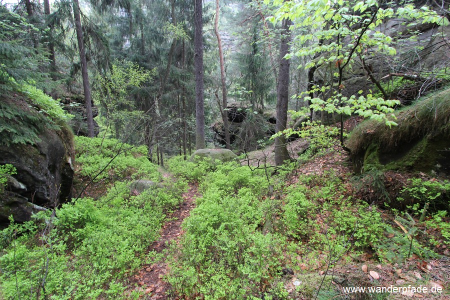 Bergpfad Schwarzbergrund-Griesgrund (Stille Grnde)