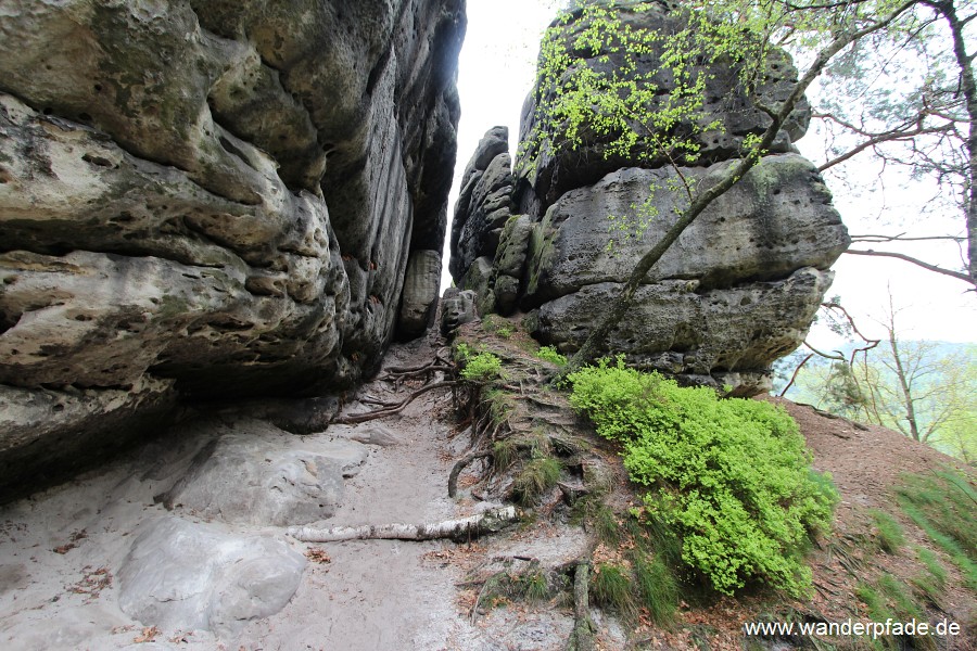 Bergpfad Schwarzbergrund-Griesgrund (Stille Grnde)