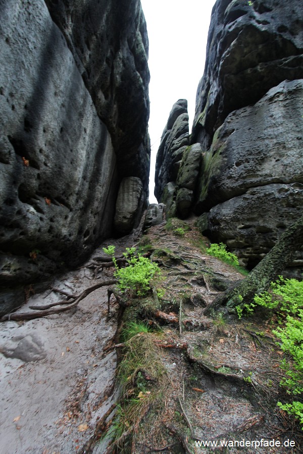 Bergpfad Schwarzbergrund-Griesgrund (Stille Grnde)