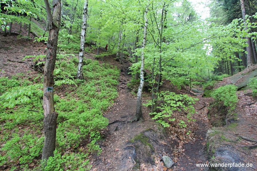 Griesgrund rechts, links zum Steinrckenweg