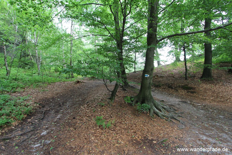 Zur Rotkehlchenstiege