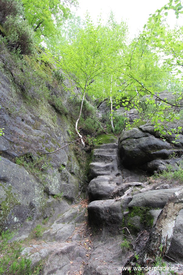 Rotkehlchenstiege