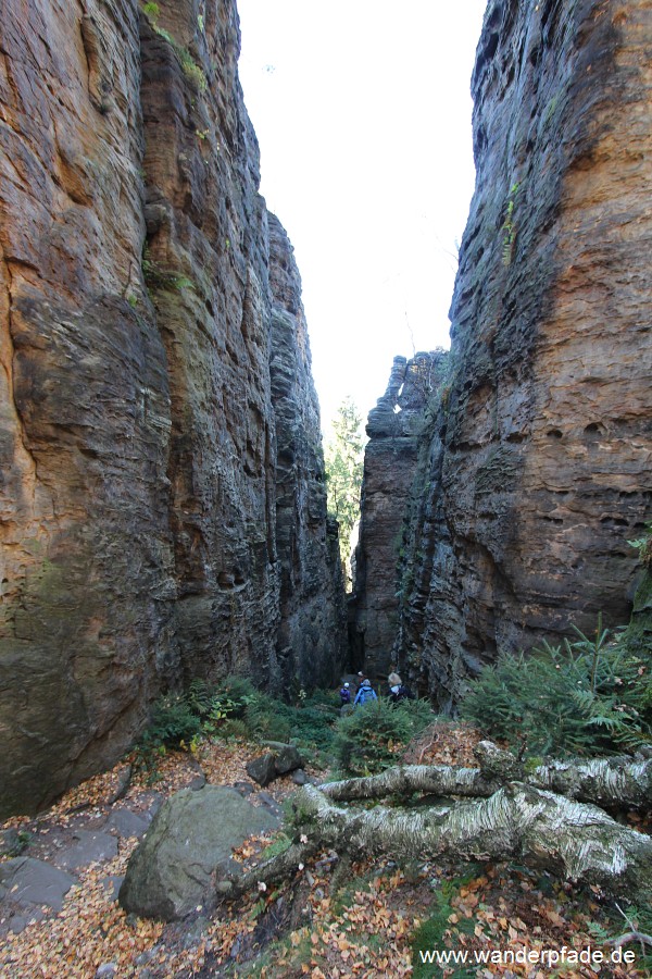 Felsengasse im Bielatal