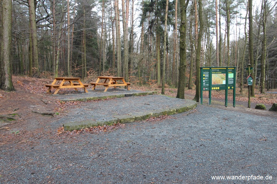 Rastpltze auf der Gohrisch-Seite