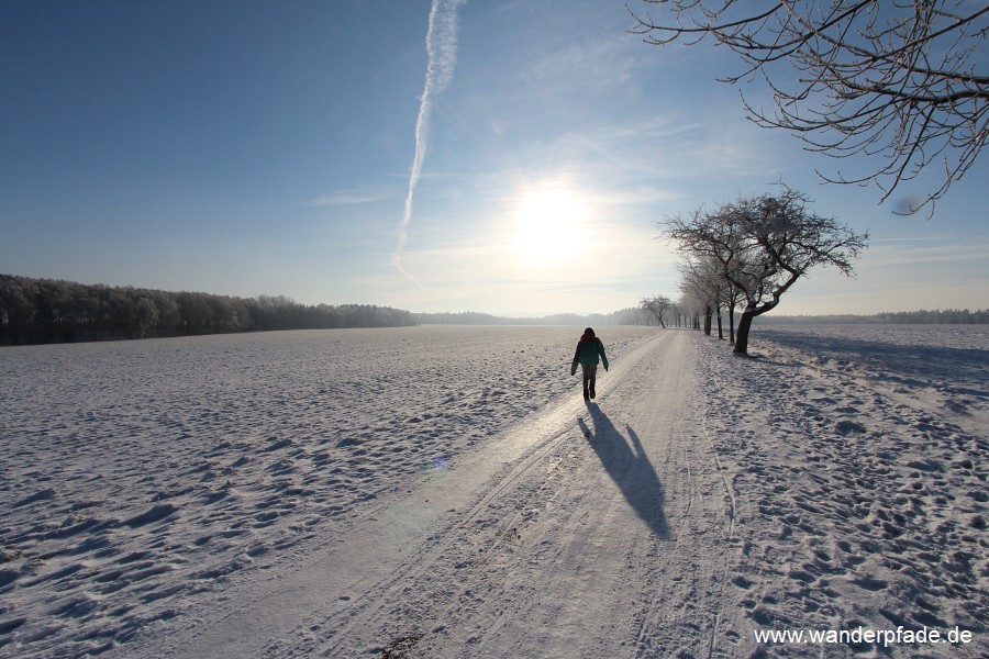 Alter Schneeberger Kirch- und Leichenweg (Knigsteiner Strae)