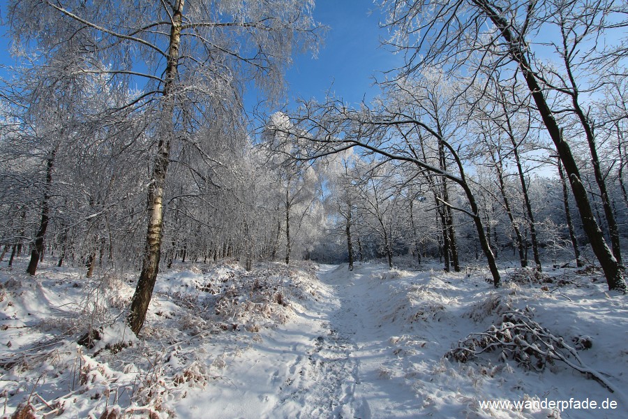 Mhlweg (Ostrov-Snenk)