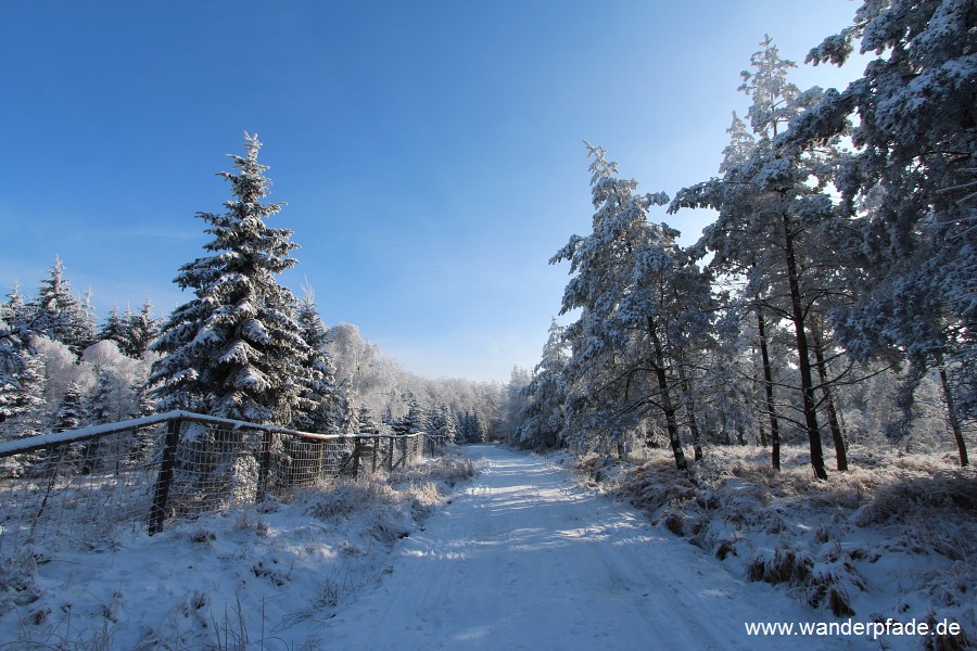 Mhlweg (Ostrov-Snenk)