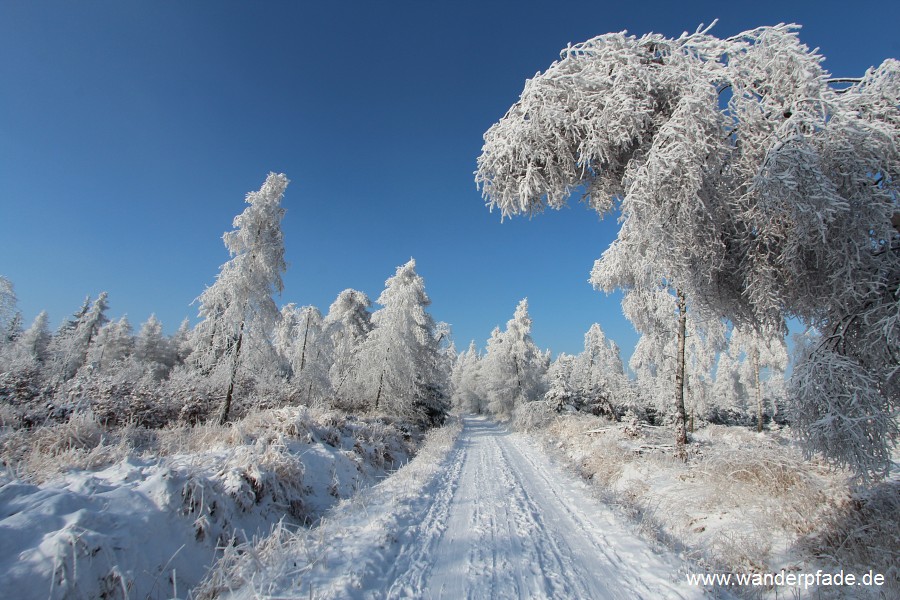 Mhlweg (Ostrov-Snenk)