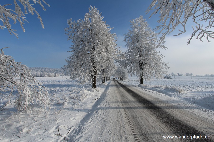 Foto: Mühlweg (Ostrov-Snežník)