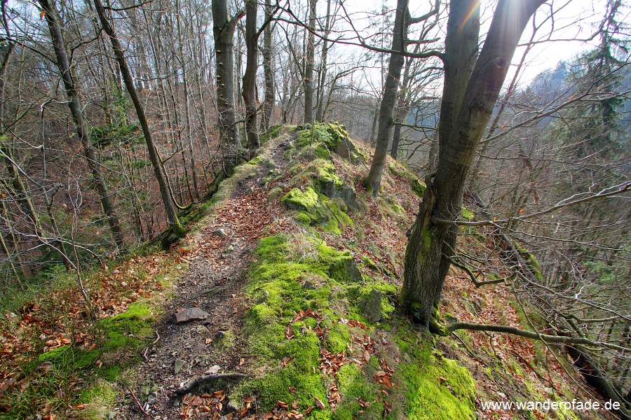 Felsenpfad Godorfer Raubschloss-Godorf