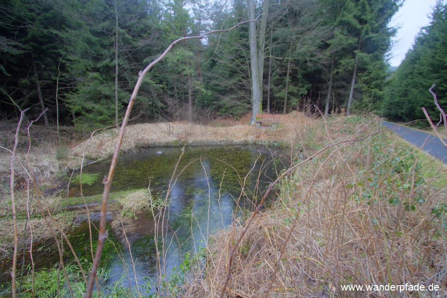 Teich an Lampertsstrae