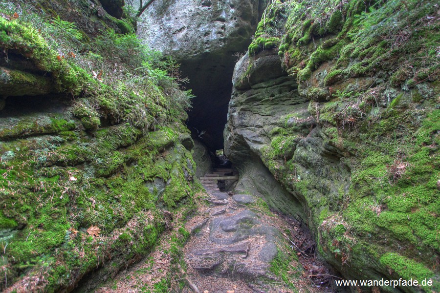 Wolfsschlucht im Kirnitzschtal