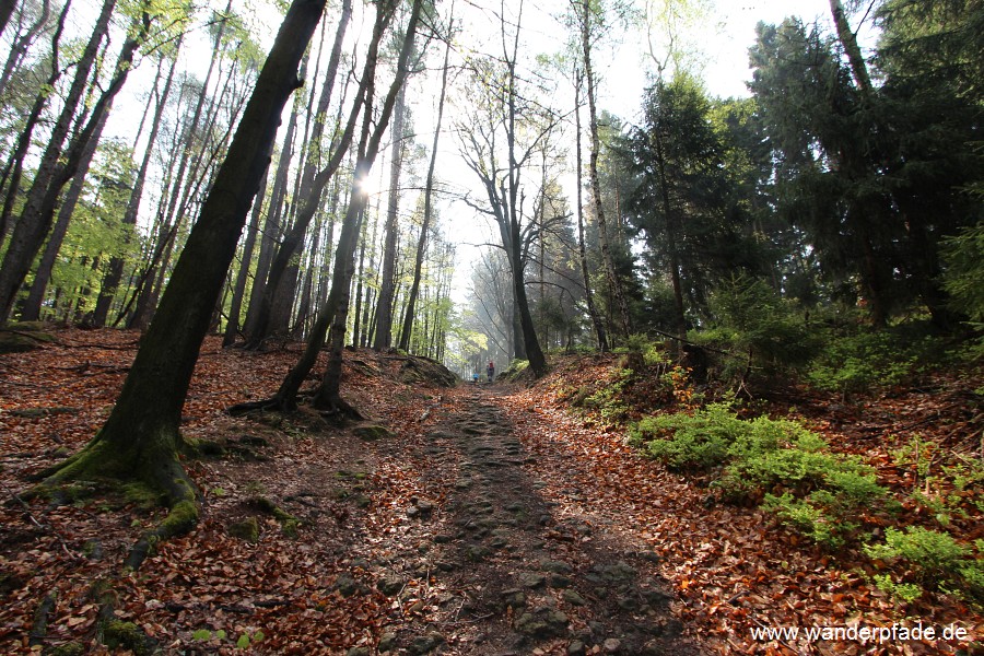 Hirschgrundweg