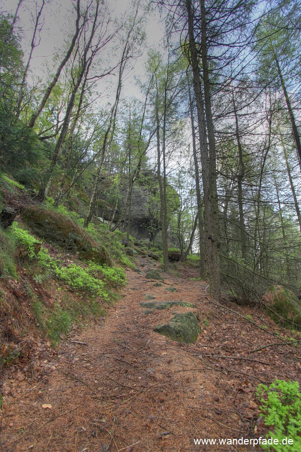 Nord-Auf-/Abstieg Groer Zschirnstein