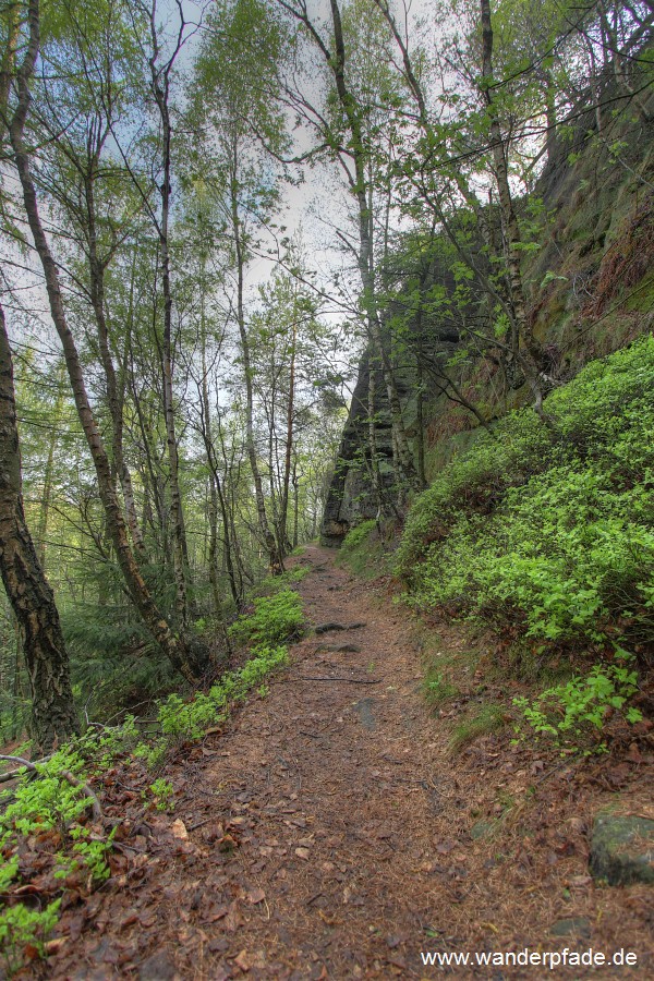 Nord-Auf-/Abstieg Groer Zschirnstein