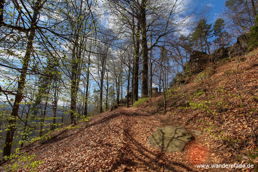 Weg zum Knigsplatz