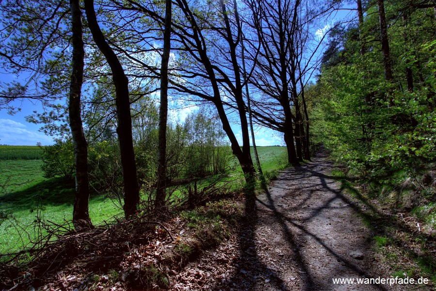 Hans-Frster-Weg