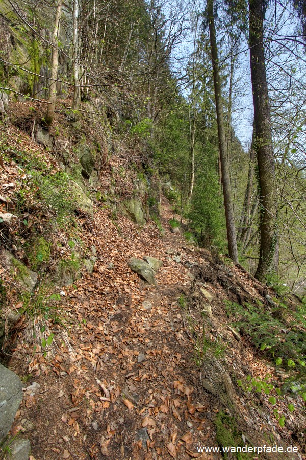 Schmaler Pfad im Sebnitztal