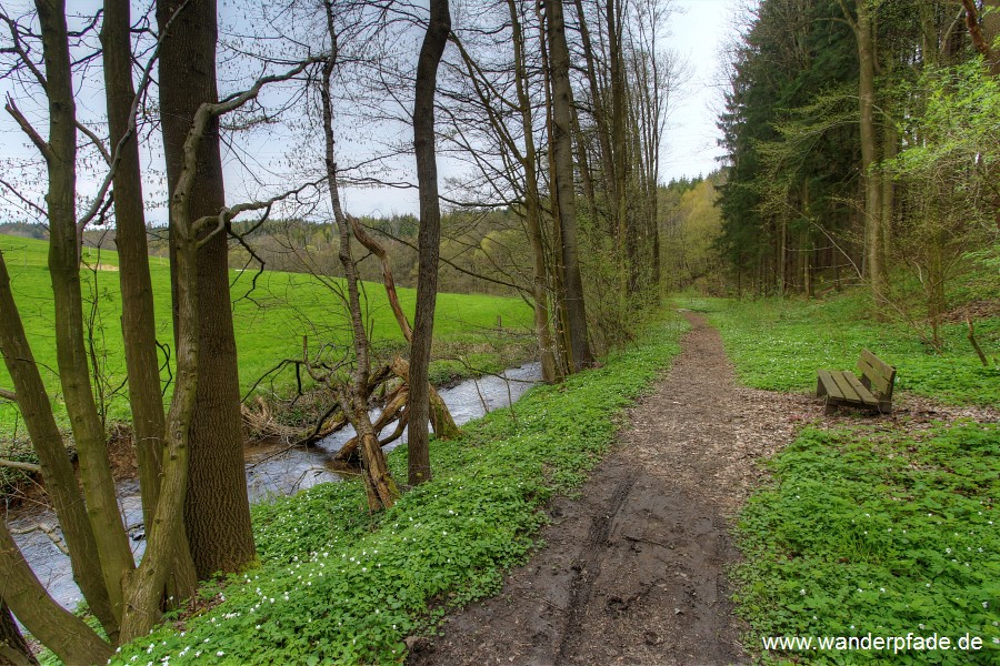 Goldgruben/ Schnbachtal