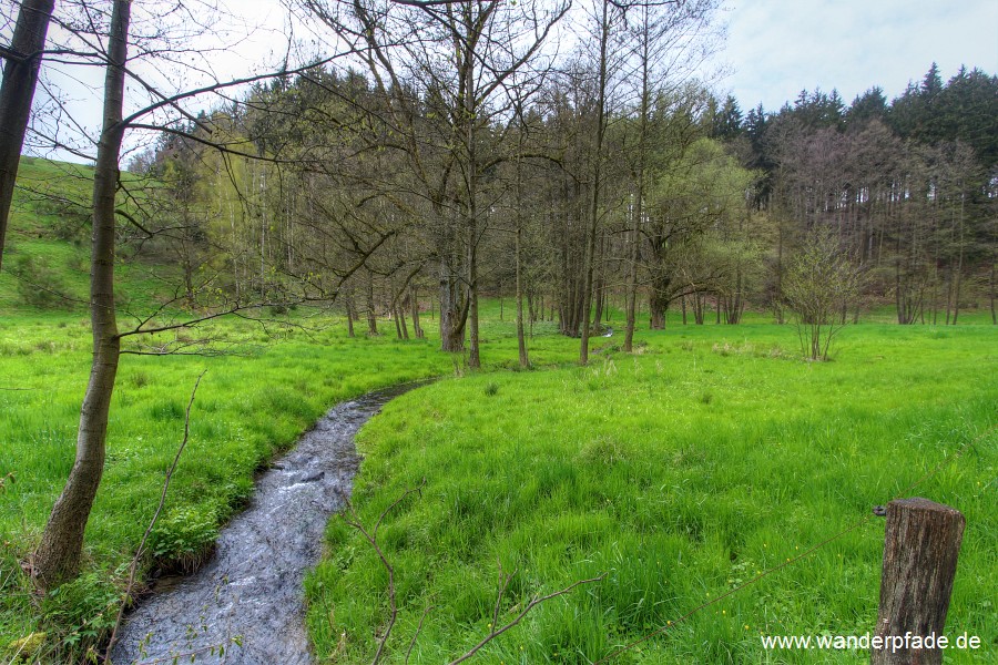 Goldgruben/ Schnbachtal