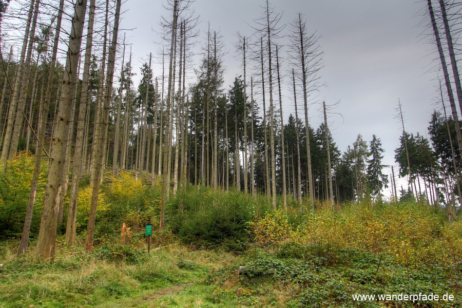 Kreuzung Groer Hochhbelweg / Reitsteig Thorwalder Wnde