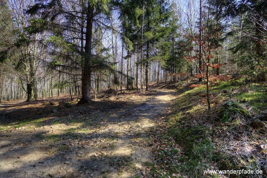 Mndung Hllweg auf Zeughausweg/ Unterer Affensteinweg