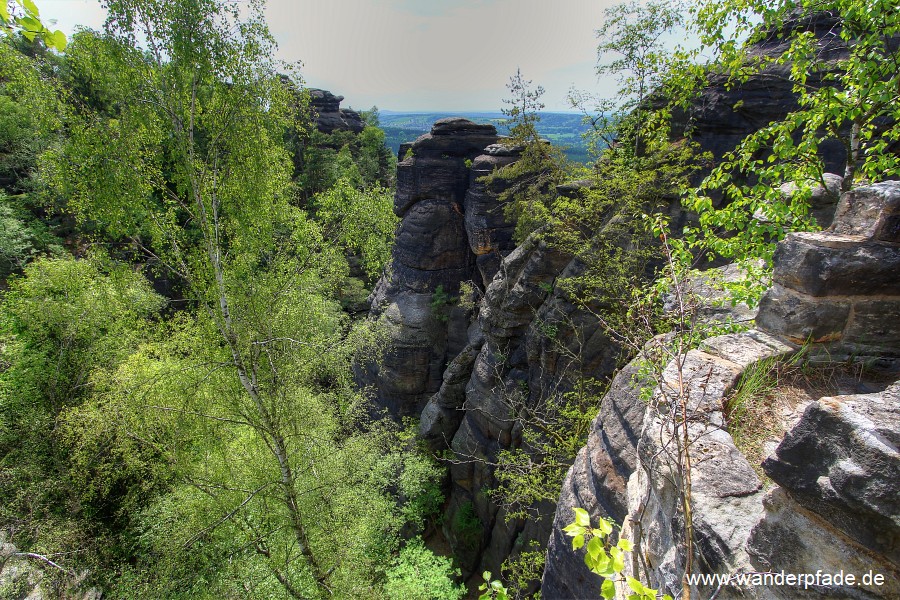 Ruine Pfaffenstein