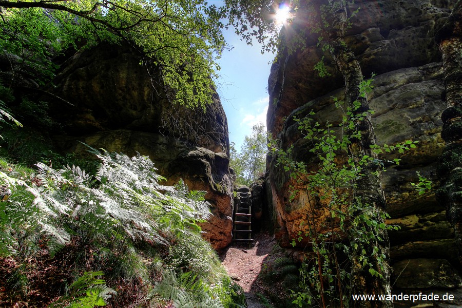 Bergpfad Schwarzbergrund-Griesgrund (Stille Grnde)