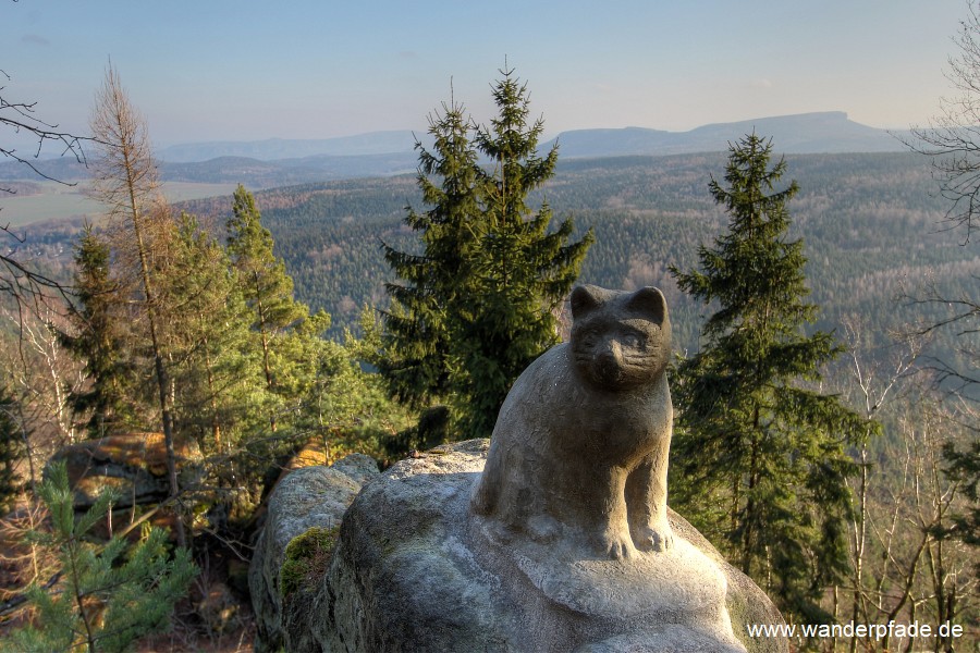 Katze am Katzfels