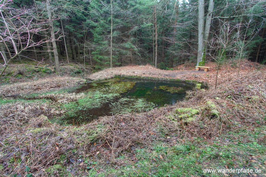 Teich an Lampertsstrae