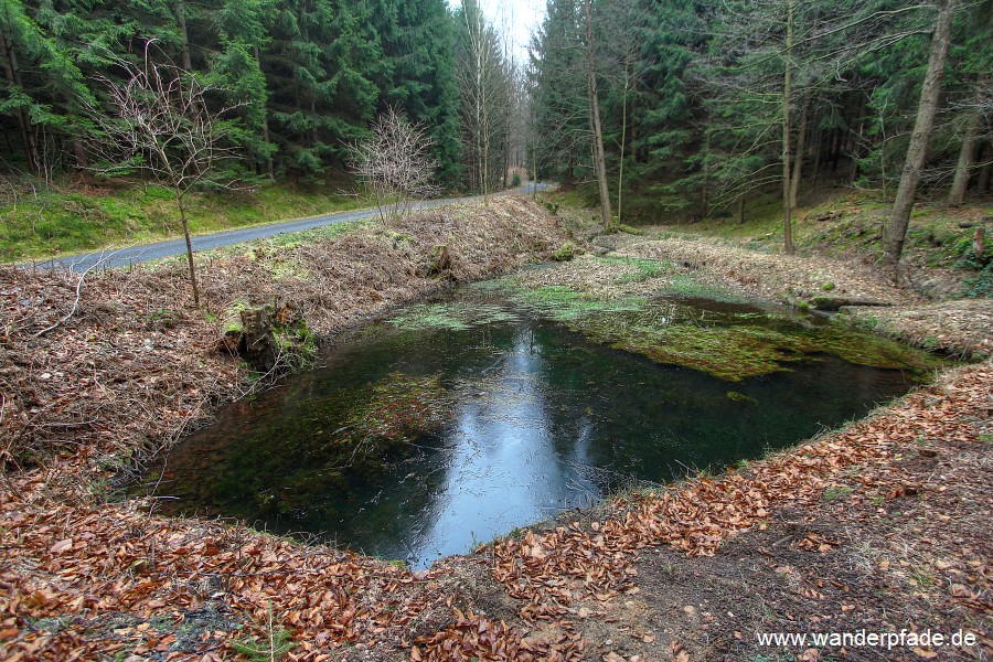 Teich an Lampertsstrae