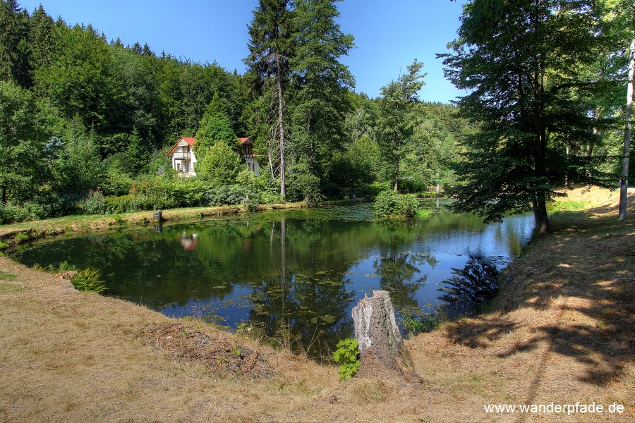 Teich Schweizermhle