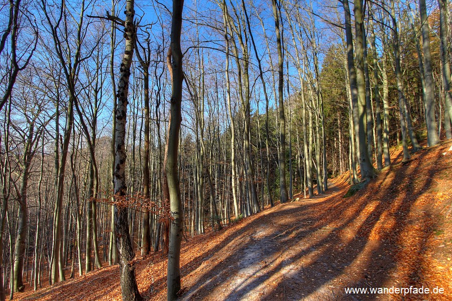 Vordere Promenade