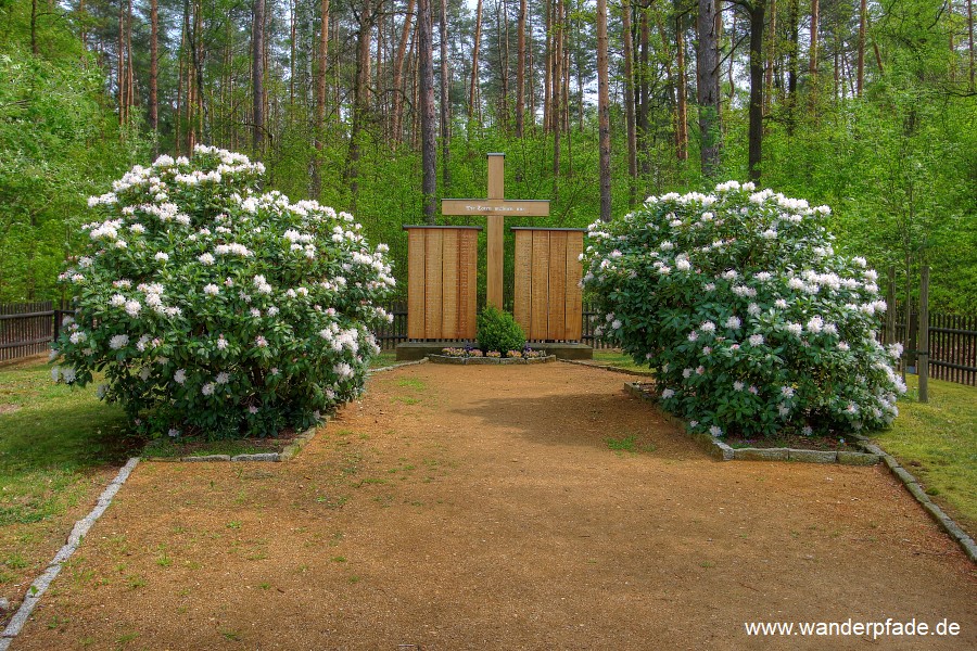 Waldfriedhof am Lilienstein